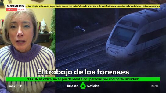 Julia Mar&iacute;a Fern&aacute;ndez Mart&iacute;n, m&eacute;dico forense describe el protocolo de grandes cat&aacute;strofes. La doctora se&ntilde;ala que, tras el levantamiento de los cad&aacute;veres, se lleva a cabo la autopsia para determinar la causa de la muerte. 