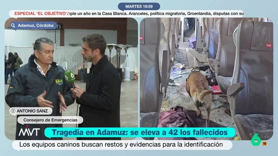 consejero antonio sanz MVT consejero antonio sanz MVT