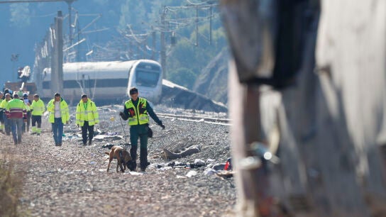 Un agente de la Guardia Civil rastrea con un perro las inmediaciones de los vagones siniestrados del accidente ferroviario en Adamuz (C&oacute;rdoba)
