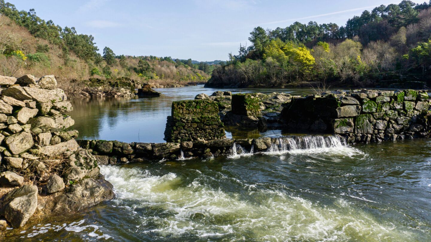 Arbo, en Pontevedra