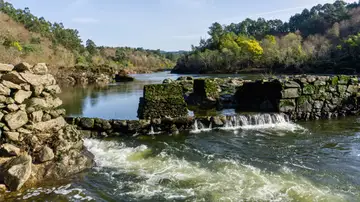 Arbo, en Pontevedra Arbo, en Pontevedra