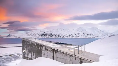 Bóveda mundial de semillas en Svalbard Bóveda mundial de semillas en Svalbard