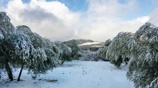 Nieve en Jaén Nieve en Jaén