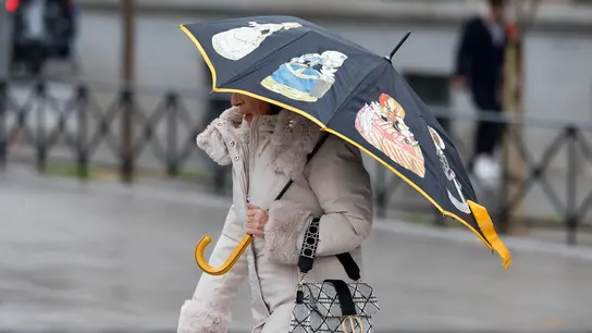 Una mujer se protege con el paraguas de la lluvia. Una mujer se protege con el paraguas de la lluvia.