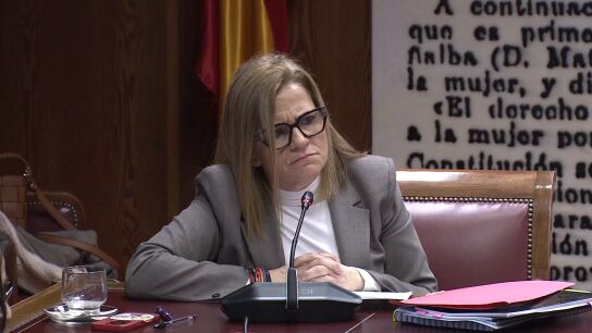 Pilar Bernab&eacute;, en la comisi&oacute;n de la DANA en el Senado