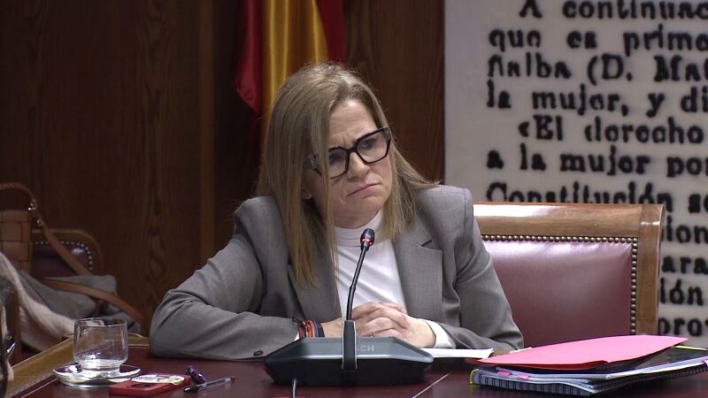 Pilar Bernab&eacute;, en la comisi&oacute;n de la DANA en el Senado
