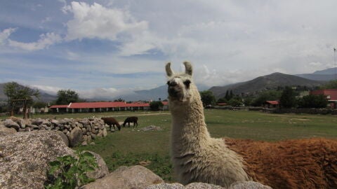 Estancia del Camino de los Jesuitas