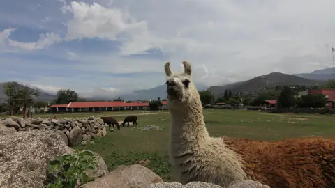 Estancia del Camino de los Jesuitas Estancia del Camino de los Jesuitas