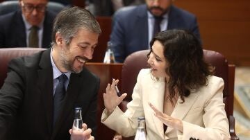 Isabel D&iacute;az Ayuso en la asamblea madrile&ntilde;a