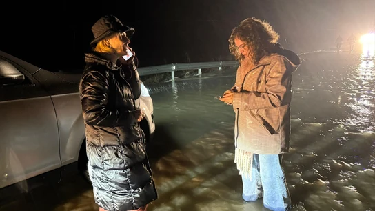 La alcaldesa de Jerez, María José García-Pelayo, en la carretera de la Ina, inundada por la crecida del Guadalete. La alcaldesa de Jerez, María José García-Pelayo, en la carretera de la Ina, inundada por la crecida del Guadalete.