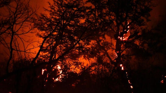 Incendio en la Patagonia