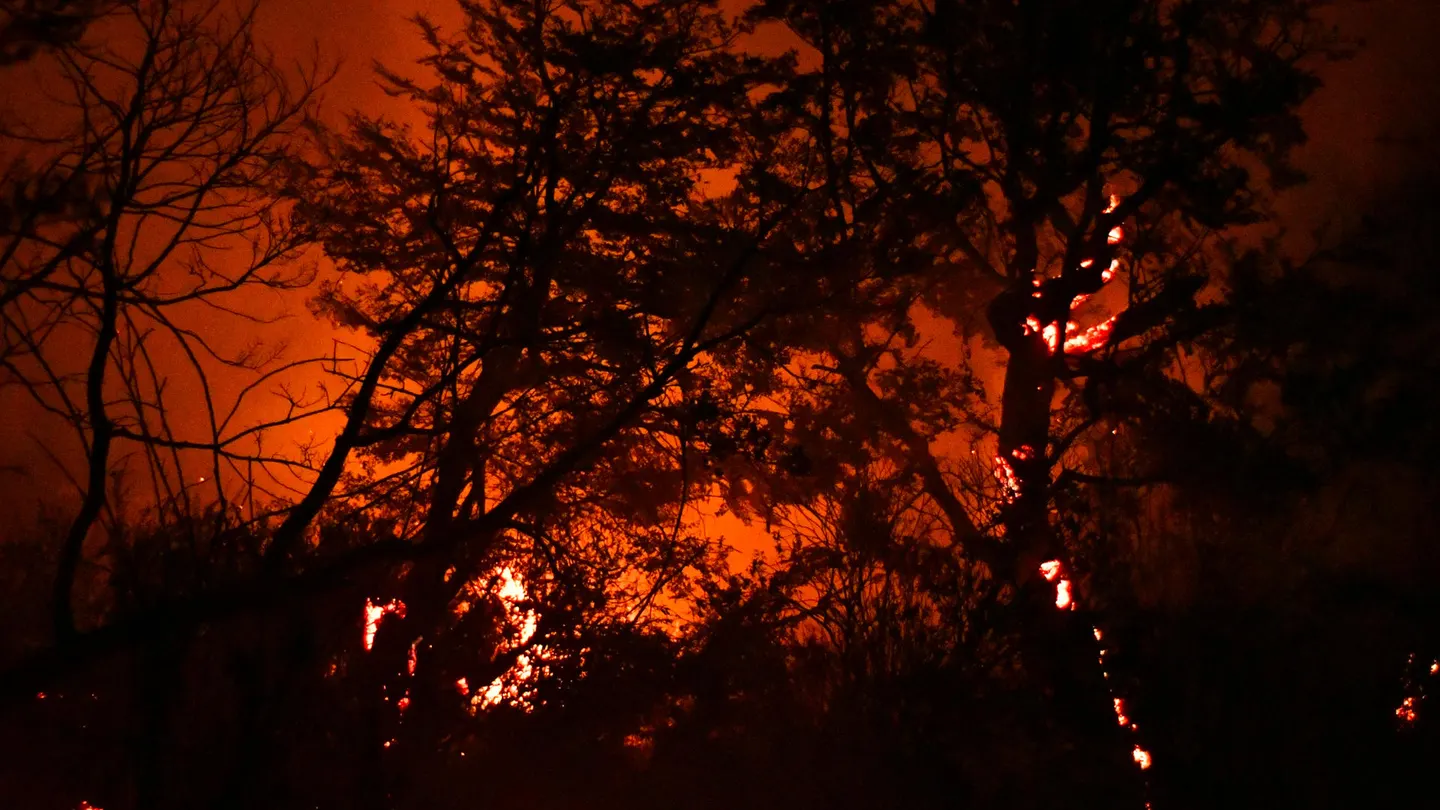 Incendio en la Patagonia Incendio en la Patagonia