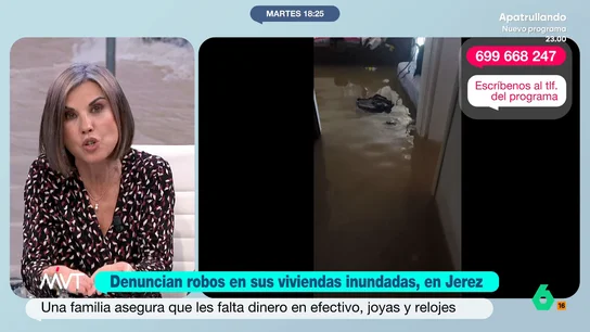 Beatriz de Vicente señala, ante los robos en Jerez tras el temporal: "Es un hurto agravado con penas de hasta 3 años de prisión" Varios vecinos de barriadas de Jerez de la Frontera, en Cádiz, fueron desalojados de sus casas debido al temporal. Al volver, descubrieron que estas habían sido saqueadas.