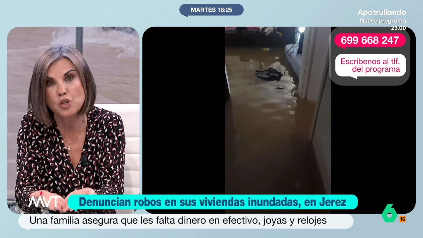 Beatriz de Vicente señala, ante los robos en Jerez tras el temporal: "Es un hurto agravado con penas de hasta 3 años de prisión" Varios vecinos de barriadas de Jerez de la Frontera, en Cádiz, fueron desalojados de sus casas debido al temporal. Al volver, descubrieron que estas habían sido saqueadas.