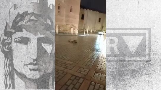 La azucena ca&iacute;da de la Giralda 