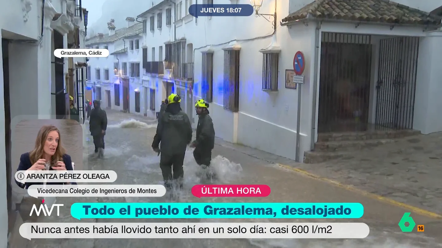 ¿Cuándo se podrá volver a las casas desalojadas? Una ingeniera de montes los factores a tener en cuenta Ante la situación límite que se vive en Grazalema por las lluvias torrenciales, la ingeniera de montes Arantza Pérez Olega explica en este vídeo qué tiene que darse para que la zona recupere la normalidad.
