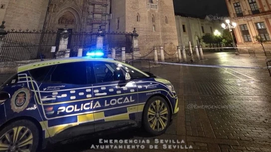 Zona acotada por la Policía Local de Sevilla por desprendimiento de elementos de la Giralda por los fuertes vientos de la borrasca Leonardo Zona acotada por la Policía Local de Sevilla por desprendimiento de elementos de la Giralda por los fuertes vientos de la borrasca Leonardo
