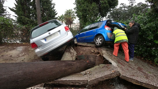 Dos personas junto a unos vehículos atrapados al levantarse el pavimento tras caerse un árbol este miércoles en Los Barrios (Cádiz) Dos personas junto a unos vehículos atrapados al levantarse el pavimento tras caerse un árbol este miércoles en Los Barrios (Cádiz)