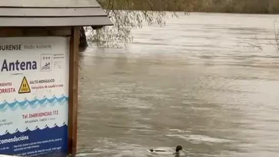 El río Miño supera el umbral naranja en la ciudad de Ourense El río Miño supera el umbral naranja en la ciudad de Ourense