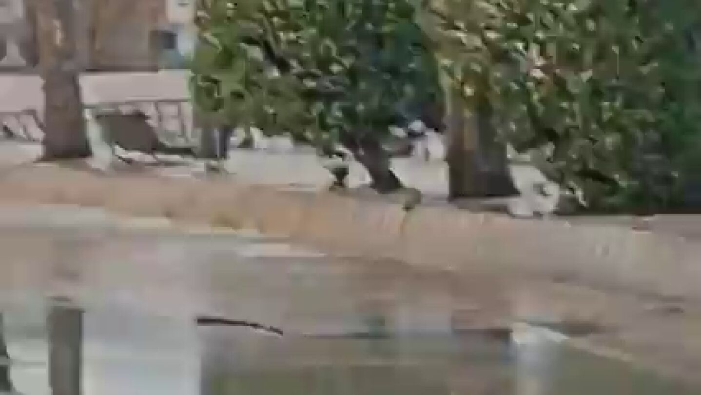 El río Genil se desborda en Huétor Tájar (Granada)