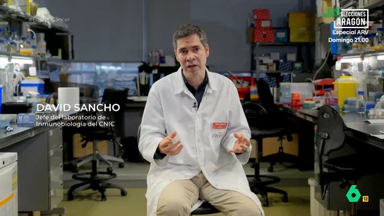 El jefe de Inmunobiología del CNIC avisa sobre las pseudoterapias con células dendríticas: "Pueden inducir una autoinmunidad que puede ser letal" David Sancho, jefe del Laboratorio de Inmunobiología del CNIC, habla en este vídeo de los peligros de someterse a terapias con células detríticas si la inmunoterapia no se hace adecuadamente y "con los controles estrictos de un ensayo clínico".