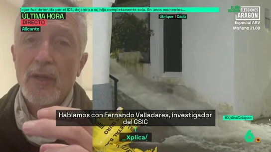 Fernando Valladares Fernando Valladares