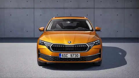 Skoda Octavia Combi Skoda Octavia Combi