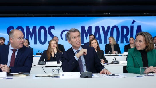 El l&iacute;der del PP, Alberto N&uacute;&ntilde;ez-Feij&oacute;o (c), junto a Cuca Gamarra (d) y Miguel Tellado (i) durante la Junta Directiva Nacional del partido