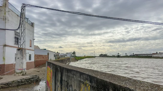 Lora del Río (Sevilla) Lora del Río (Sevilla)