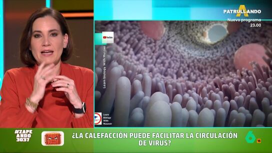 &iquest;Puede la calefacci&oacute;n facilitar la circulaci&oacute;n de virus en casa? Boticaria Garc&iacute;a te lo explica en este v&iacute;deo