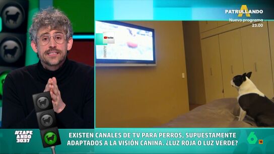 V&iacute;ctor Algra analiza las &uacute;ltimas tendencias para perros, desde las recetas 'foodie' para perros donde "importa m&aacute;s el algoritmo de Instagram' hasta la televisi&oacute;n dise&ntilde;ada para los peludos, a la que da luz verde, pero "con matices".