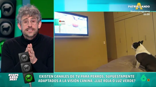 Víctor Algra, veterinario, da su opinión sobre la televisión para perros: "A futuro podría ser una herramienta para su bienestar" Víctor Algra analiza las últimas tendencias para perros, desde las recetas 'foodie' para perros donde "importa más el algoritmo de Instagram' hasta la televisión diseñada para los peludos, a la que da luz verde, pero "con matices".
