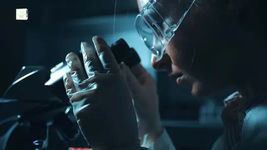 Constantes y Vitales amplía la Base de Datos de investigadoras y tecnólogas Constantes y Vitales amplía la Base de Datos de investigadoras y tecnólogas