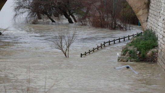 Nivel del caudal del r&iacute;o Ebro a su paso por el puente de piedra de Zaragoza.