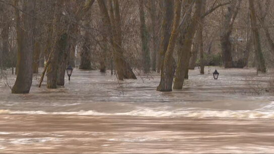 Imagen de la crecida del r&iacute;o Duero a su paso por San Esteban de Gormaz (Soria)