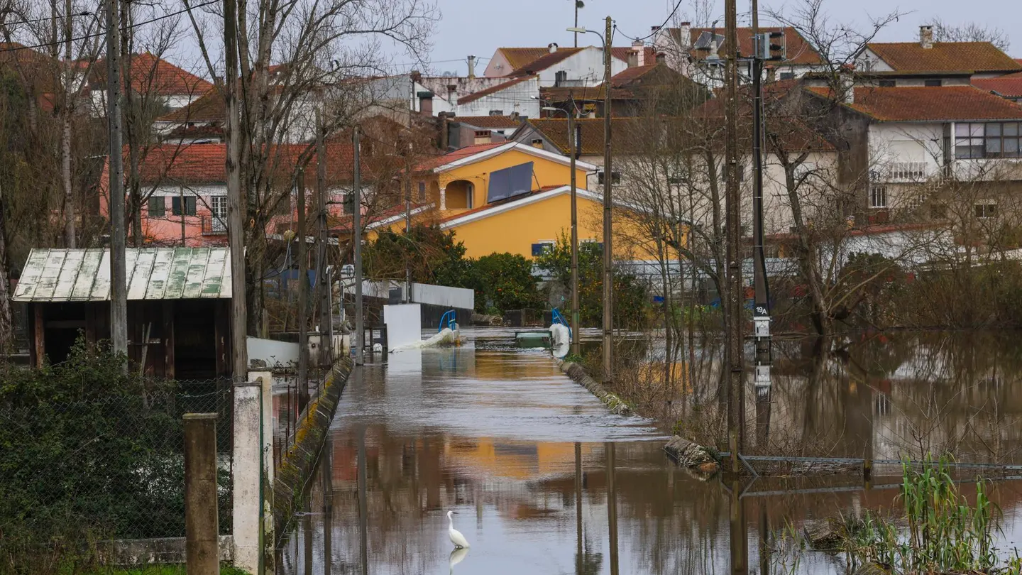 Una zona inundada en Sao Joao do Campo, en Coimbra (Portugal) Una zona inundada en Sao Joao do Campo, en Coimbra (Portugal)