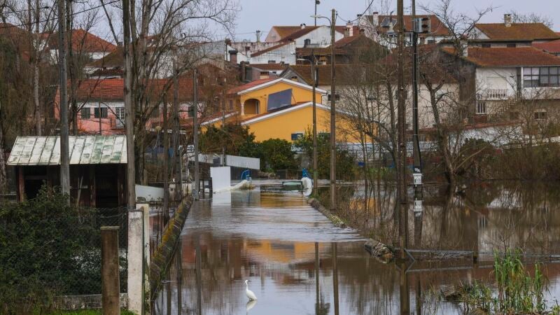 Una zona inundada en Sao Joao do Campo, en Coimbra (Portugal)