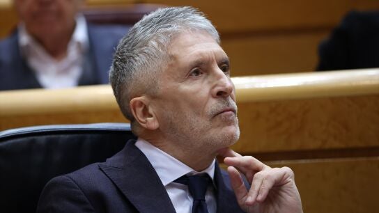 Fernando Grande-Marlaska en el Senado