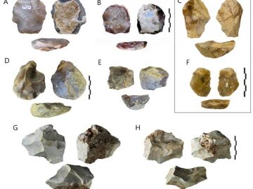 Un estudio revela la diversificaci&oacute;n tecnol&oacute;gica en Europa hace 400.000 a&ntilde;os