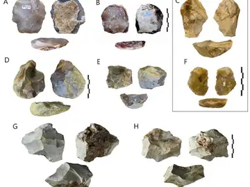 Un estudio revela la diversificación tecnológica en Europa hace 400.000 años Un estudio revela la diversificación tecnológica en Europa hace 400.000 años