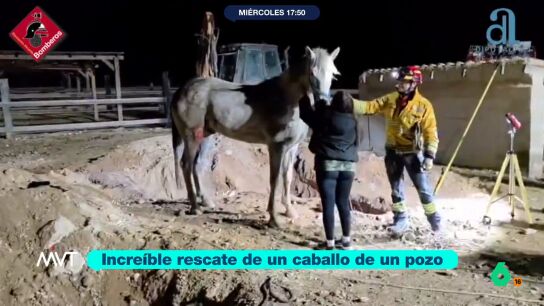 En Pinoso un equino ha ca&iacute;do en el interior de un pozo por causas que se desconocen. Al animal ha tenido que ser rescatado por los bomberos, que han necesitado una retroexcavadora y una gr&uacute;a para ello. 