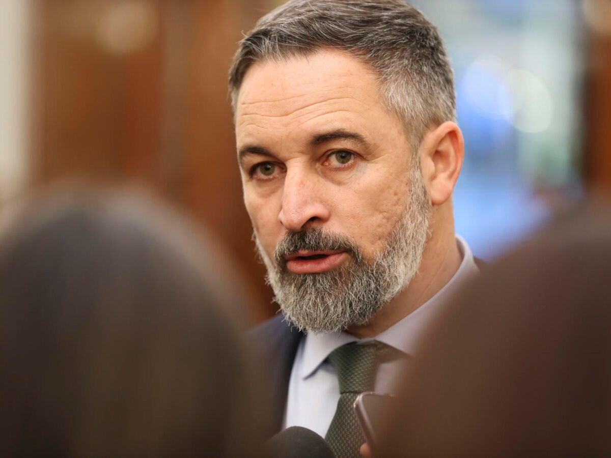 ¿Vox o Avoxcal? Abascal se convierte en la única cara visible ...