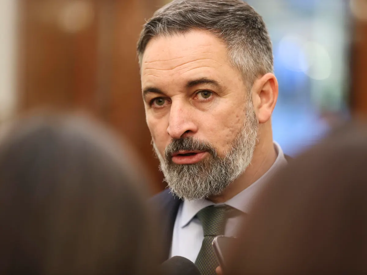 ¿Vox o Avoxcal? Abascal se convierte en la única cara visible ...