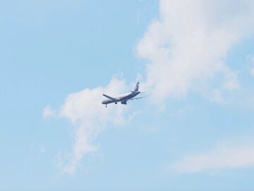 Avi&oacute;n volando