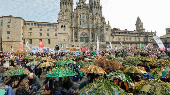 La oposici&oacute;n pol&iacute;tica y ecologistas celebran el fin de Altri.