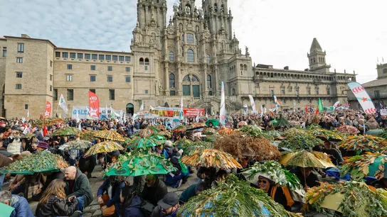 La oposición política y ecologistas celebran el fin de Altri. La oposición política y ecologistas celebran el fin de Altri.