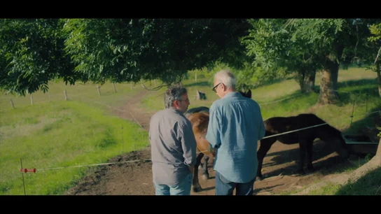 Juan José Millás recuerda la fuerza que tenían los sindicatos a finales del franquismo: "Ahora es un sálvese quien pueda" Juan José Millás recuerda la fuerza que tenían los sindicatos a finales del franquismo: "Ahora es un sálvese quien pueda"