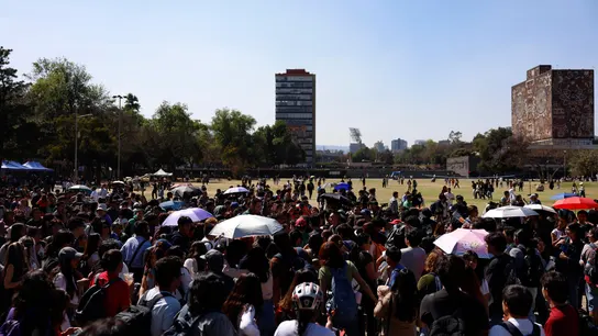 Personas asisten a la primera reunión de 'therians' en Ciudad de México (México). Personas asisten a la primera reunión de 'therians' en Ciudad de México (México).