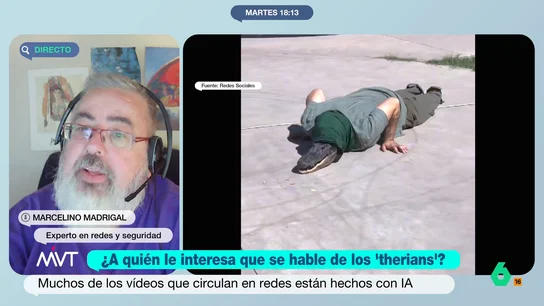 Marcelino Madrigal explica cómo la extrema derecha "exagera el discurso" sobre los therians para "ridiculizar" las políticas progresistas "Es fácil encontrarse a un señor con una máscara de gato en la red, pero no en la calle. Lo que sí nos podemos encontrar, y parece que nos preocupa menos, son animales disfrazados de personas cantando el 'cara al sol'", afirma el experto en seguridad.