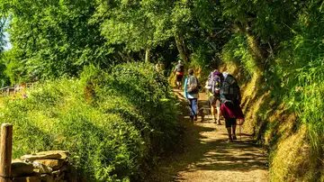 Camino Primitivo en Asturias Camino Primitivo en Asturias